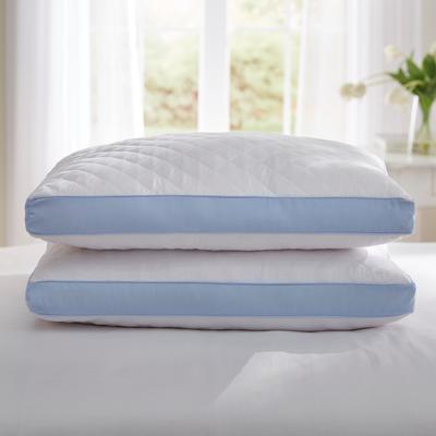 Gusseted Density Pillow 2-Pack by BrylaneHome in F...