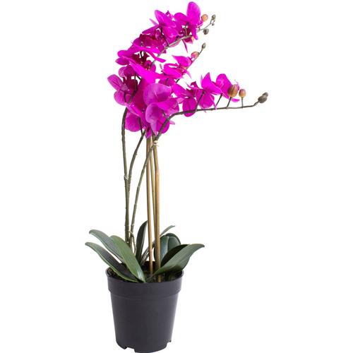 "Kunstorchidee BOTANIC-HAUS ""Orchidee Bora"" Kunstpflanzen Gr. Ø/H: 35 cm x 60 cm, 1 St., pink (fuchsia) Kunst-Orchideen"