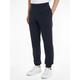 Sweathose TOMMY HILFIGER "GLOBAL STRIPE SWEATPANTS" Gr. XXL, N-Gr, blau (desert sky) Herren Hosen Sweathosen