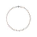 Perlenkette FIRETTI "Schmuck Geschenk Halsschmuck Halskette Perle" Halsketten Gr. 45, Silber 925 (Sterlingsilber)-Perlen, bunt (silberfarben, weiß) Damen Perlenketten