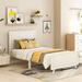 Red Barrel Studio® Sadab Solid Wood Platform Storage Bed Wood in White | 41.5 H x 42.3 W x 78.7 D in | Wayfair 241FB6BC45CF4F31A92132421BDEEC96