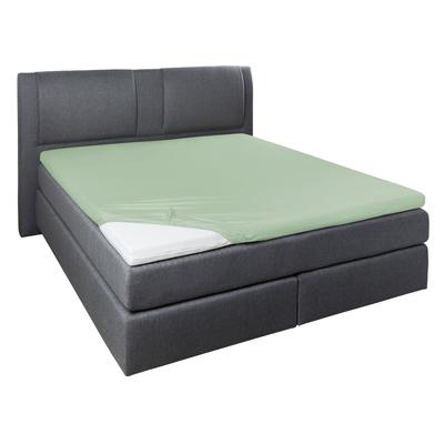 Spannbettlaken PRIMERA "Elasthan-Feinjersey Topper", braun (eukalyptus), B:180-200cm L:200-220cm, Jersey-Elasthan, Obermaterial: 95% Baumwolle, 5% Elasthan, Laken, Aus 95% gekämmter Baumwolle und 5% Elastan Image