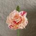 Mdesiwst 2Pcs Artificial Peony Flower Single Branch Blooming Home Decoration Wedding Accessory