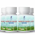 Wheat Grass Capsule | Aids Digestion, Superfood, Boosts Immunity, Body Detox, Hair Growth | Xovak Pharmtech