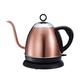 DameCo Gooseneck Electric Kettle,Quiet Boil Kettle 1L Stainless Steel Kettle Electric Kettle Large Capacity Teapot Temperature Control Electric Jug Kettle Silicone Handle interesting