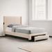 Ebern Designs Monterion Bed Upholstered/Velvet in Brown | 40.5 H x 44.5 W x 80.5 D in | Wayfair D0D5B2ED63374B3ABF065C0924CDE4A5