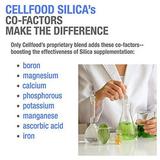 Cellfood Essential Silica Anti-Aging Formula 4 fl oz 2 Pack - Supports Healthy Bones Joints Hair Skin Nails Teeth & Gums - Easy to Absorb - Gluten Free Thiaminase Free Non-GMO - 80-Day Supply
