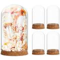 Clear Glass Dome 5Pcs Premium Glass Display Cover Storage Jar Container For Eternal Flower