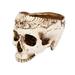 Halloween Skull Decor Skull Head Bonsai Pots Resin Flowerpot Desktop Decoration