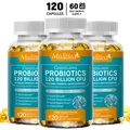 Supplément de complexe probiotique Mulitea-12 milliards d'unités de colonies-probiotiques masculins
