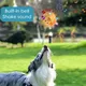 Balle interactive pour mâcheurs agressifs jouets pour chiens avec cloches formation décompresser