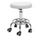 Adjustable Rolling Hydraulic Stool Spa Massage Dental Seat Office Vanity Swivel Rolling Chair W/PU Cushion White