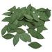 Diy Accessories 100Pcs Artificial Silk Leaf For Wedding Party Decoration Diy Floral Wreath Garland Fake Green Leaf(2 Packs 50 Slices In A Pack Green)