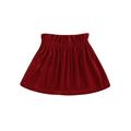 Baby Girl High Waist Mini Skirt Solid Color Velvet Elastic A-Line Skirt Toddler Fall Spring A-Line Dress