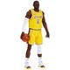 Hasbro Starting Lineup Series 1 Lebron James 6 (LA Lakers) NBA Action Figure