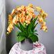 VVHUDA Decor Artificial Flowers With Vase Artificial Silk Phalaenopsis Flowers Butterfly Orchid With Vase Set Fake Plant Wedding Decoration Faux Flowers Arrangements Ornaments small gift