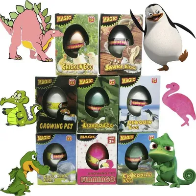 Oeuf de dinosaure magique à couver pour enfants œuf révivable jouet animal cadeau de Noël cadeau