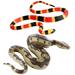 2Pcs Simulation Snake Toy Fake Snake Model Plastic Snake Model Haunted House Snake Prop