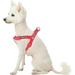 Blueberry Pet Step-in Dog Harness Velvety Heart Flocking Valentineâ€™s Day Adjustable Harnesses for Small Dogs Lust Red Chest Girth 16.5 - 21.5