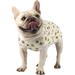 Etdane Recovery Suit for Dog Cat After Surgery Dog Surgical Recovery Onesie Female Male Pet Bodysuit Dog Cone Alternative Abdominal Wounds Protector Bee/X-Small