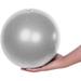 Fresion Small Exercise Ball Soft Yoga Balls Mini Pilates Ball 25cm for Core Training Exercise Durable