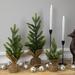 Northlight Seasonal 18" Faux Pine Tree in Pot Plastic in Brown/Green | 18 H x 7 W x 7 D in | Wayfair NORTHLIGHT HN95117