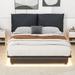 Black ErgonomicFull Size Upholstered Platform Bed with Sensor Light & Backrests