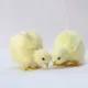 Décoration de poussin réaliste pour enfants jouet en peluche doux simulation de beurre animal