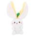 Toys for Girls Strawberries Home Accents Decor Stuff Animals Home Decors Animal Doll Hide and Seek Stuffed Rabbit Baby Pp Cotton