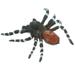 Realistic Spider Model Plastic Spider Model Fake Spider Models Halloween Spider Prop