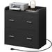 WedealFu Inc Moasis 2-Drawer File Cabinet Lateral Filing Cabinet Home Office File Cabinet Black