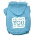 You Go Fetch Screen Print Pet Hoodies Baby Blue Size Med