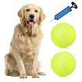 Pristin Inflator Inch Oversize Tennis Balls Inflatable Tennis Balls Children Fun Balls Fun Pump Toy Balls 9.5 Inch Oversize 2pcs 9.5 Inch mewmewcat QISUO Ball HUIOP 2pcs BUZHI