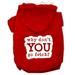 You Go Fetch Screen Print Pet Hoodies Red Size Lg