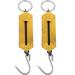 2 Pcs Spring Scale Hanging Scale Scale for Fishing Portable Scale BalanÃ§a Hanging Scale Fish Scale Fruit Scale