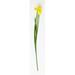 Primrue Artificial Iris Flower Spray in Yellow | 25 H x 2 W x 2 D in | Wayfair 854F4AA788614F7FB31D37CB8358D9F9