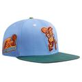 Men's Pro Standard Light Blue/Green Boston Celtics Retro Program 2-Tone Snapback Hat