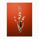 Gold Botanical Pale Yellow Eyed Grass on Tomato Red n.1126 Canvas Print by holyrockarts