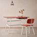 Hokku Designs Brugger 47" W Rectangle Writing Desk & Chair Set Wood/Metal in Orange | 29.5 H x 47 W x 26 D in | Wayfair