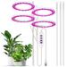 Grow Lights for Indoor Plants 4 Heads 4.8W 34.5lm 80LED USB Powered Grow Light 8H/12H/16H Timer 5 Dimmable Brightness Plant Growing Lamps for Succulents / Bonsai / Small Plants