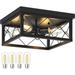 4-Lights Kitchen Ceiling Light Fixture Black Flush Mount Ceiling Lighting Close to Ceiling Light for Dining Room Entryway Dimmable T45 LED Edison Bulbs Included