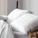 Are You Kidding - Coma Inducer® Pillow Sham (2 Pack)