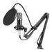 Dadypet Broadcast Equipment Arm Stand Set Studio Mic Broadcast Equipment Podcast Live Broadcast Equipment Studio Equipment USB MIC Condenser Podcast USB MIC Set BM800 Professional Studio e Re