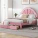 Full Size LED Upholstered Platform Bed with Seashell Shaped Headboard and 2 Drawers, Chic Design, High-Density Comfort