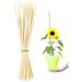 25-Pack 15 Inch Bamboo Plant Stakes