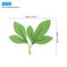 4.72x4.72" Artificial Silk Peony Leaf, 40 Pcs Green Dual Fake Leaves - Grass