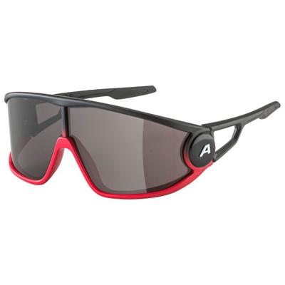 Alpina - Legend Cat. 3 - Sonnenbrille grau Image