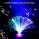Lampe LED Multicolore en Fibre Optique Luminaire Décoratif d'Nik Ciel Étoilé Vacances Mariage