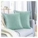 ByEUcuk Throw Pillow Covers Cozy Velvet Decorative Autumn Pillow Covers 22 x 22 Inches Soft Solid Couch Pillow Covers for Sofa Bed and Car Set of 2 - Mint