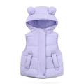 QUYUON Toddler Down Vest Baby Girls Boys Puffer Jackets Sleeveless Button Full Zip up Hoodie Jacket Warm Winter Coat Outerwear Kids Windproof Padded Jackets Purple 2T